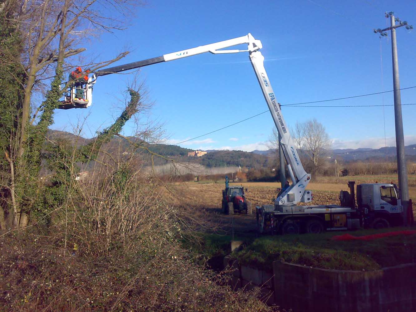 potatura-piante-ornamentali-2