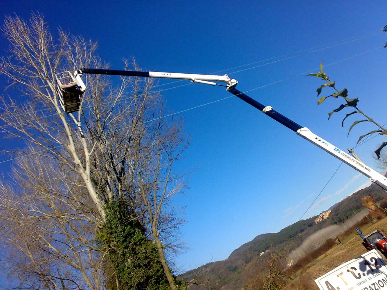 potatura-piante-ornamentali-6