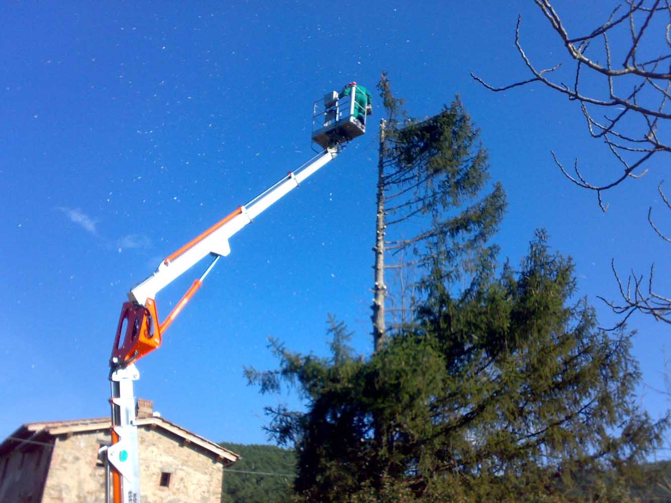 potatura-piante-ornamentali-8